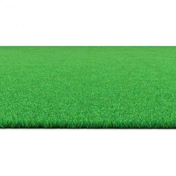 Kentucky Bluegrass Grass 3D model