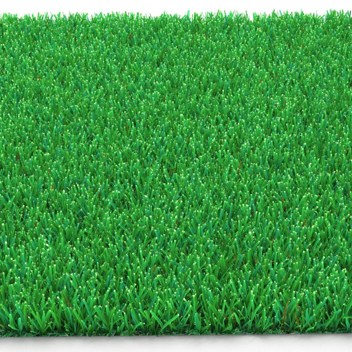 Kentucky Bluegrass Grass 3D model