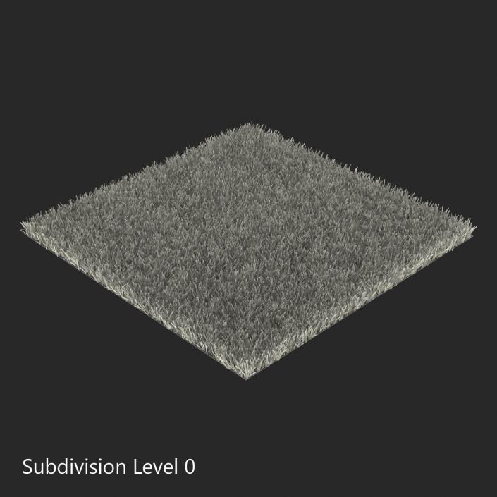 Kentucky Bluegrass Grass 3D model