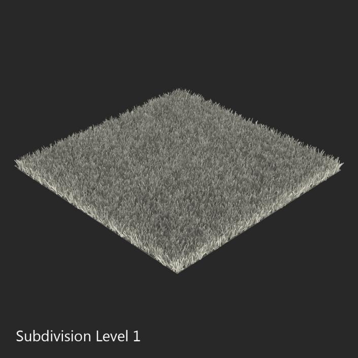 Kentucky Bluegrass Grass 3D model