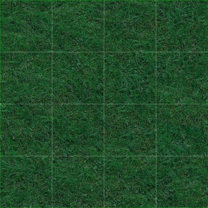 Kentucky Bluegrass Grass 3D model