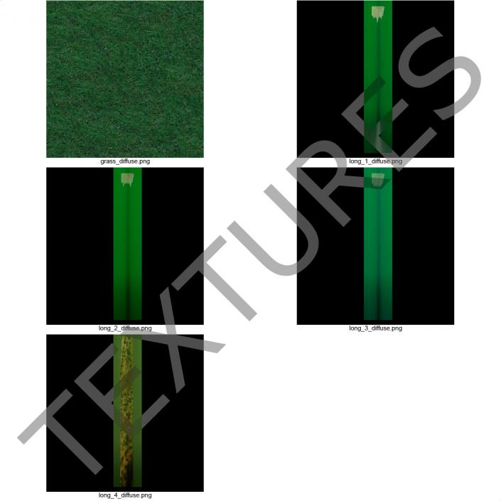 Kentucky Bluegrass Grass 3D model