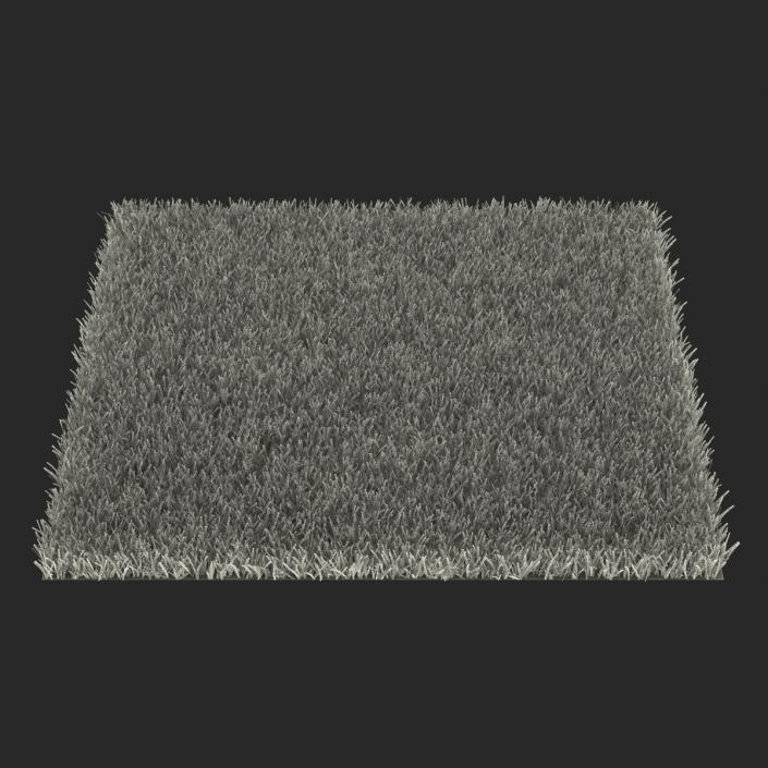 Kentucky Bluegrass Grass 3D model