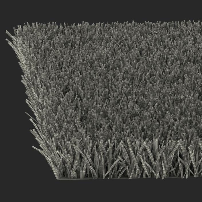 Kentucky Bluegrass Grass 3D model