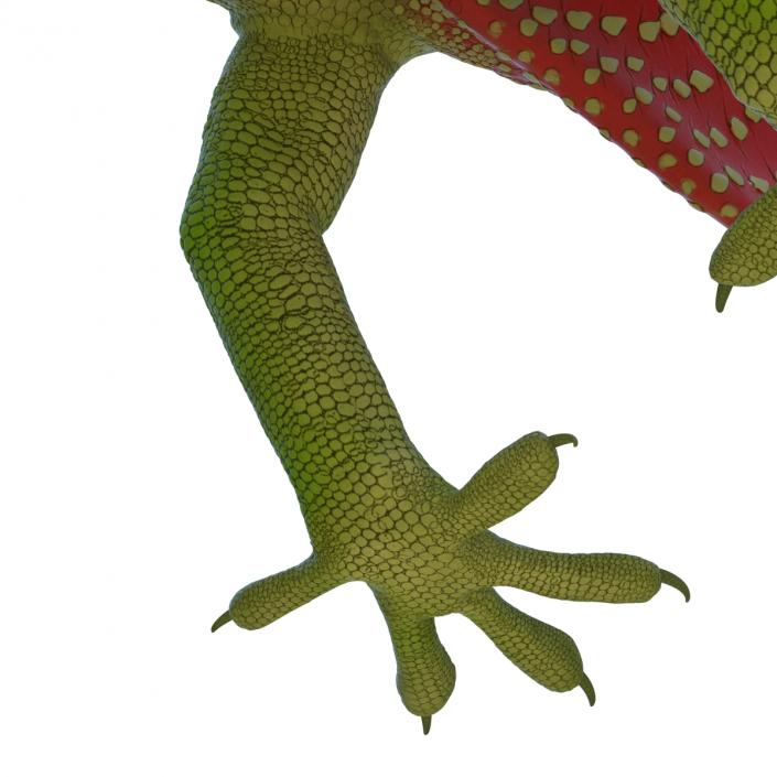 3D Carolina Anole Lizard Rigged model