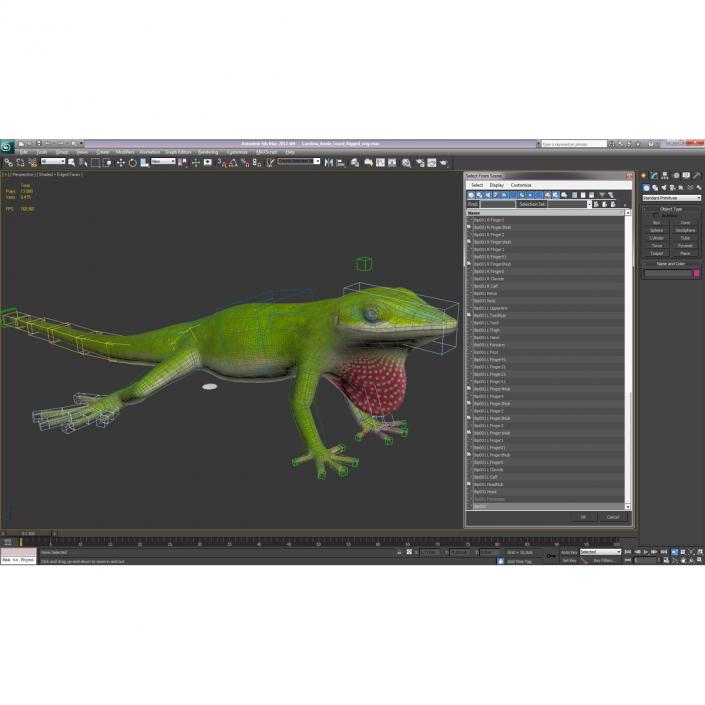 3D Carolina Anole Lizard Rigged model