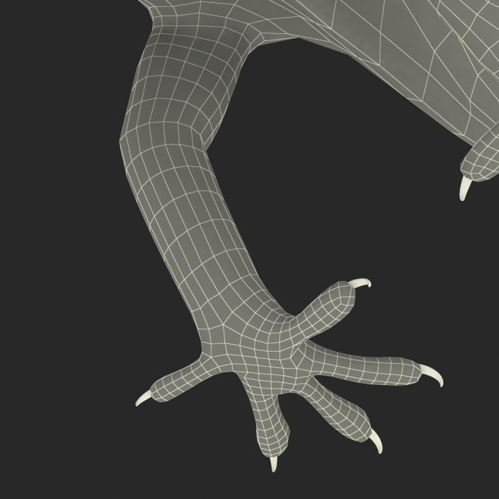 3D Carolina Anole Lizard Rigged model