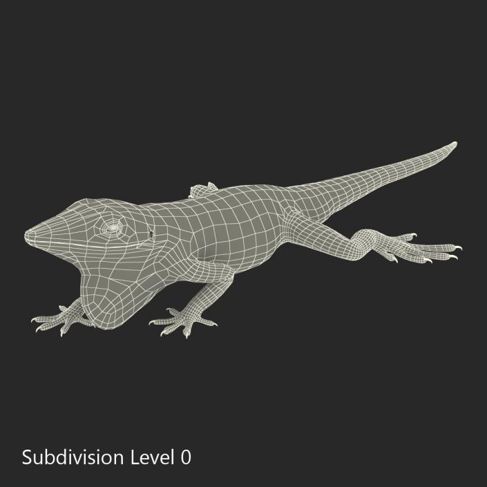 3D Carolina Anole Lizard Pose 3 model