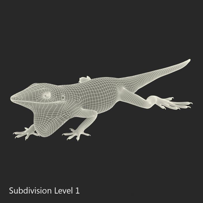 3D Carolina Anole Lizard Pose 3 model