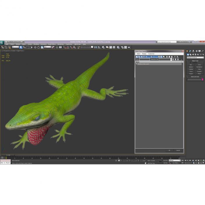 3D Carolina Anole Lizard Pose 3 model