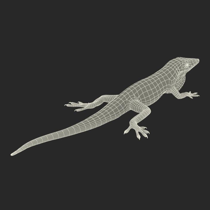 3D Carolina Anole Lizard Pose 3 model