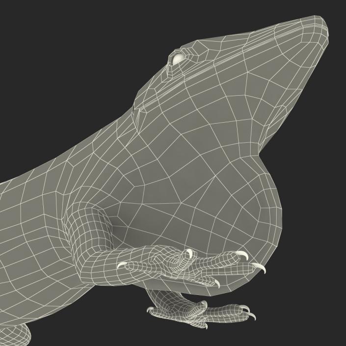 3D Carolina Anole Lizard Pose 3 model