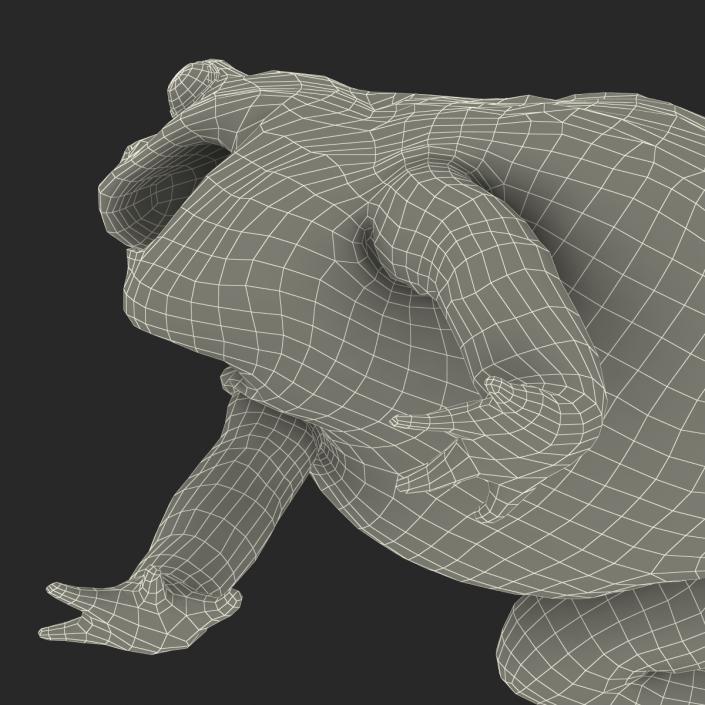 3D African Bullfrog Pose 2 model