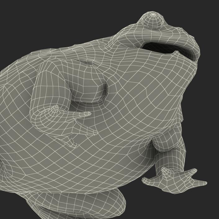 3D African Bullfrog Pose 3 model