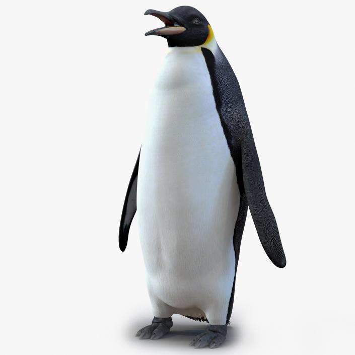 Penguin 3D model