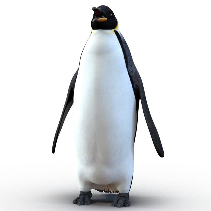 Penguin 3D model