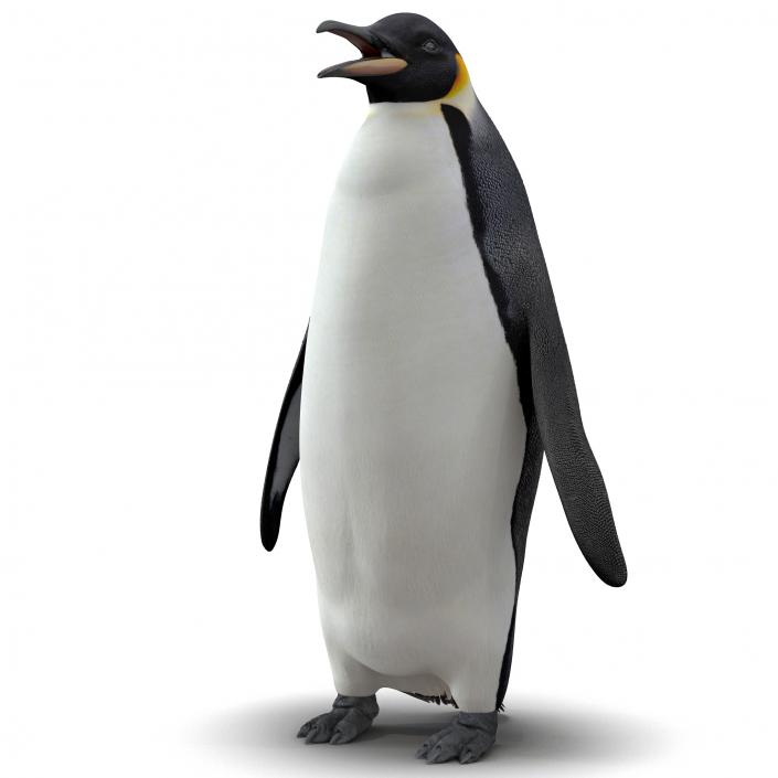 Penguin 3D model