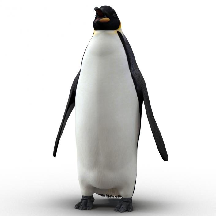 Penguin 3D model