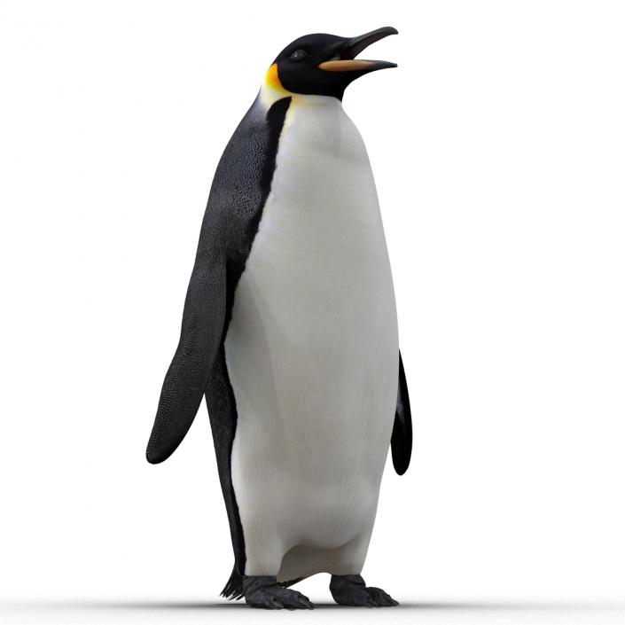 Penguin 3D model