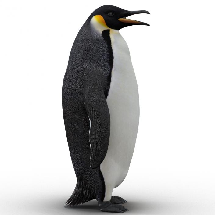 Penguin 3D model