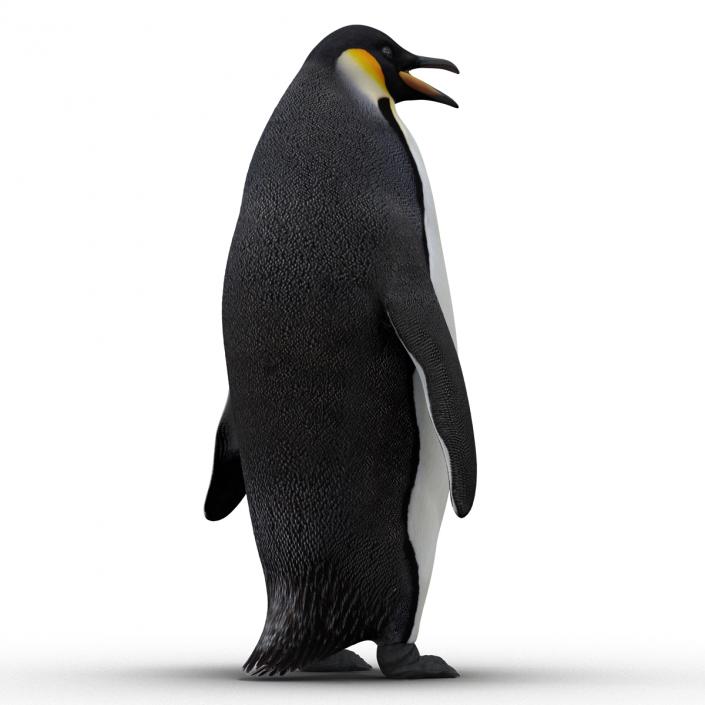 Penguin 3D model