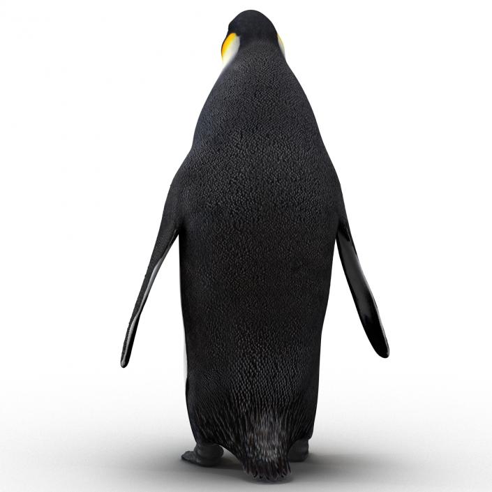 Penguin 3D model