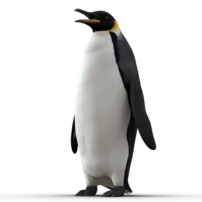 Penguin 3D model