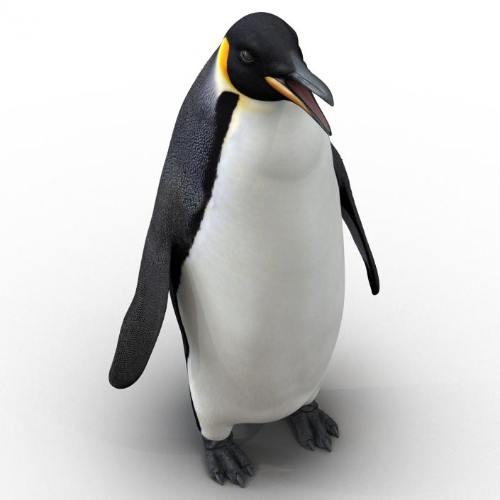 Penguin 3D model