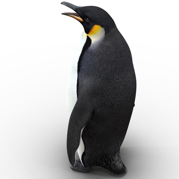 Penguin 3D model