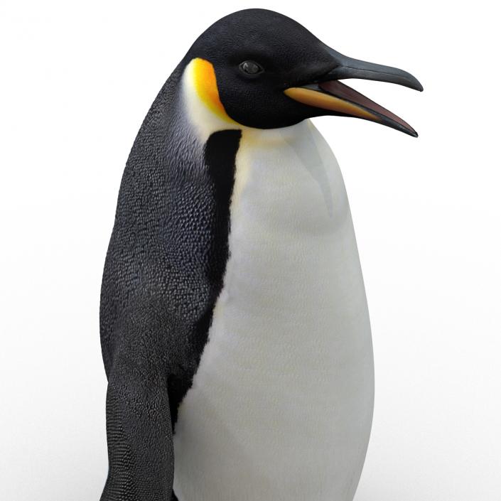 Penguin 3D model