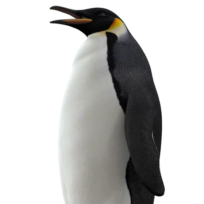 Penguin 3D model