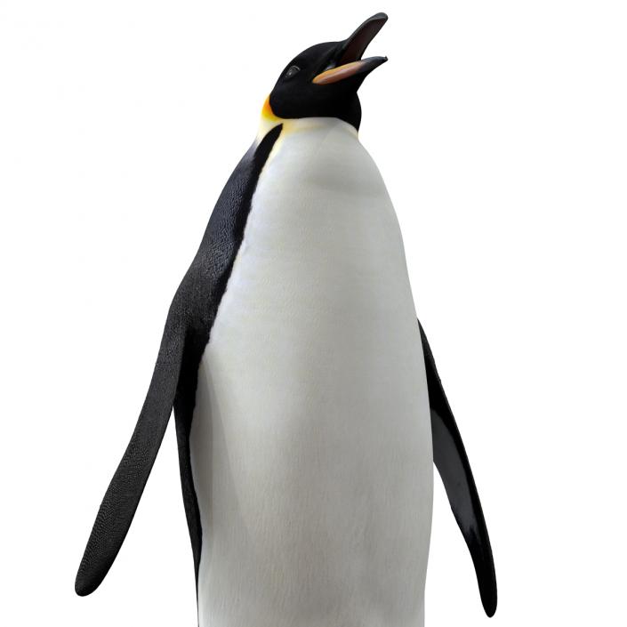 Penguin 3D model