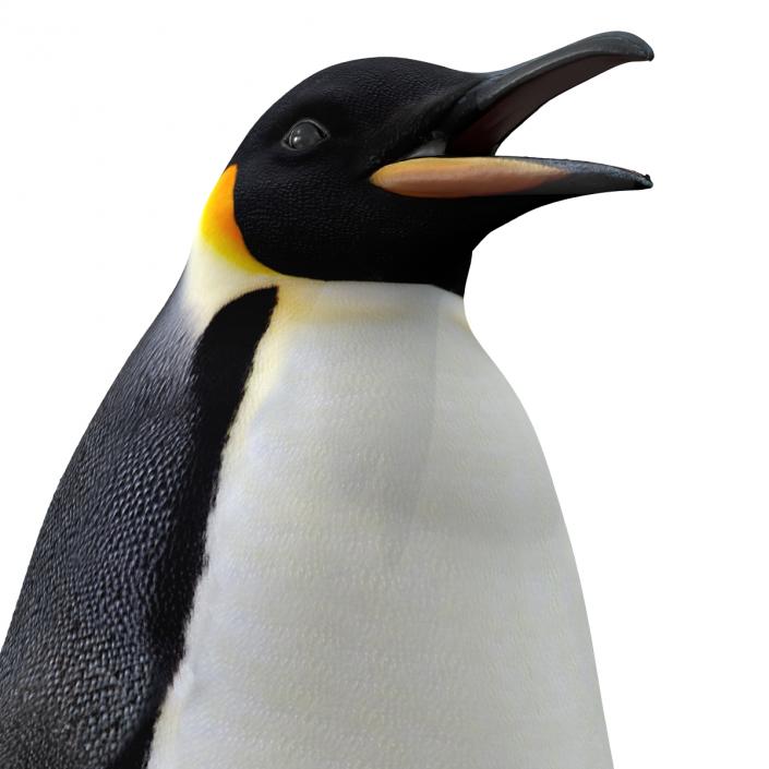 Penguin 3D model