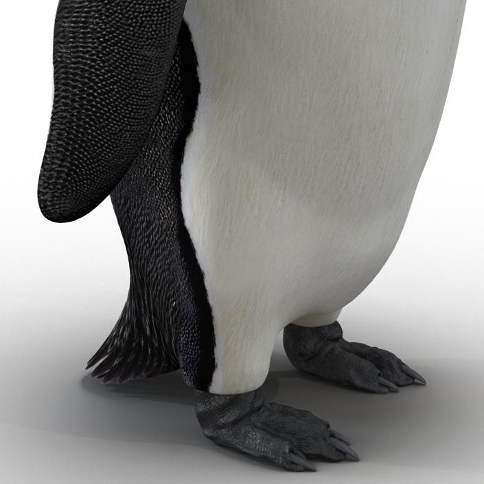 Penguin 3D model