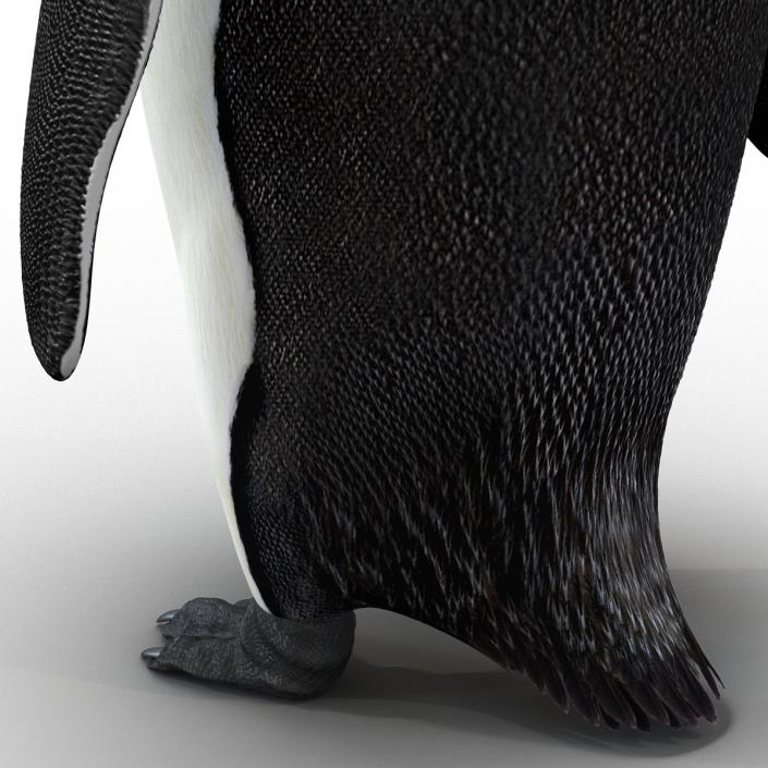 Penguin 3D model