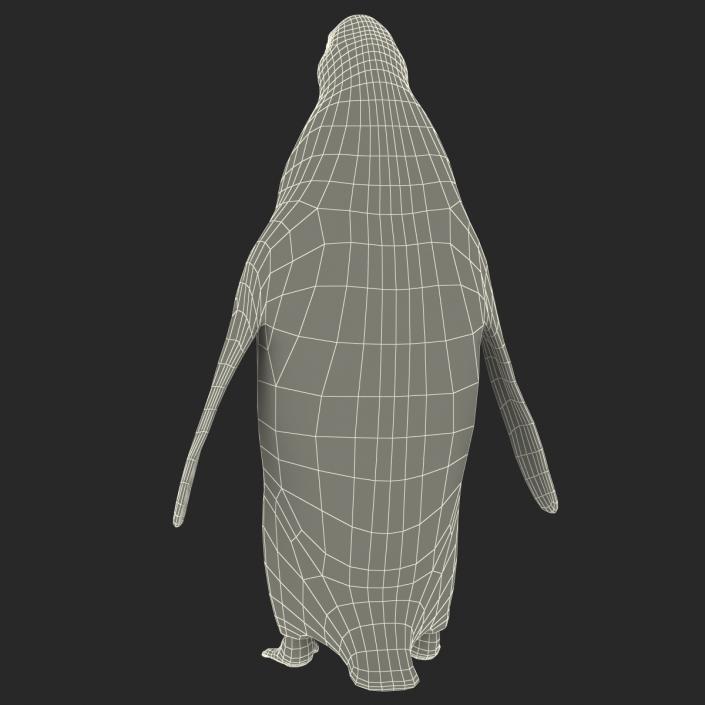 Penguin 3D model