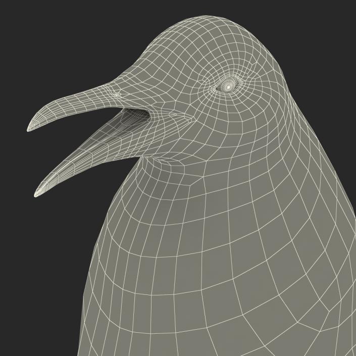 Penguin 3D model