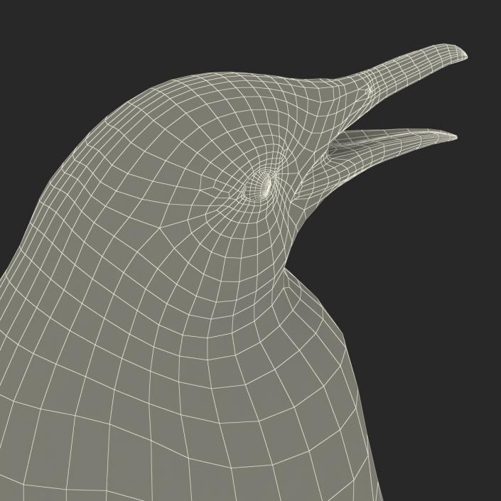 Penguin 3D model