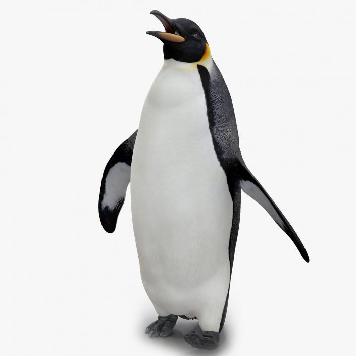 Penguin Pose 2 3D model