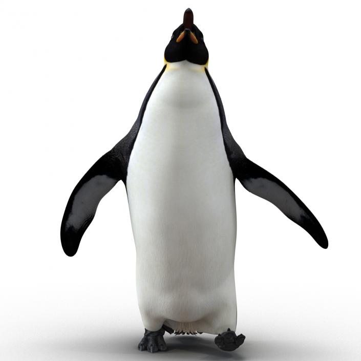 Penguin Pose 2 3D model