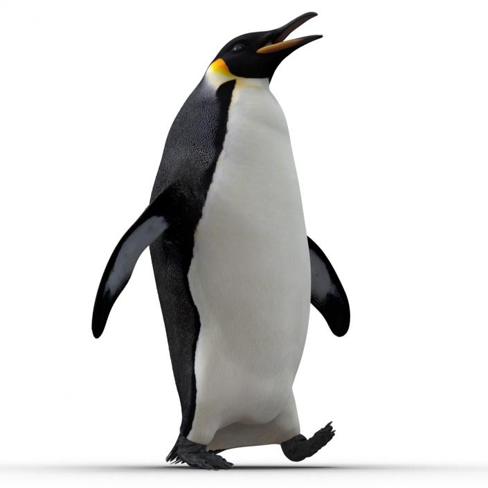 Penguin Pose 2 3D model