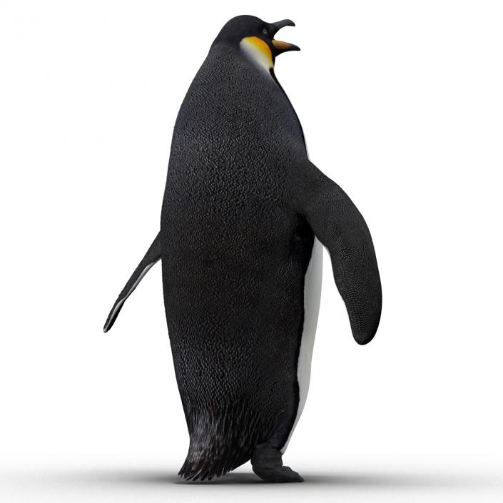 Penguin Pose 2 3D model