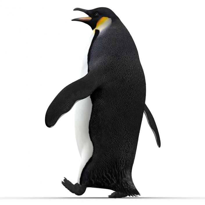 Penguin Pose 2 3D model