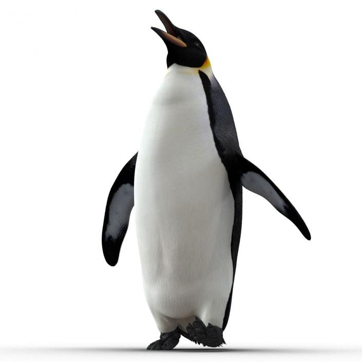 Penguin Pose 2 3D model