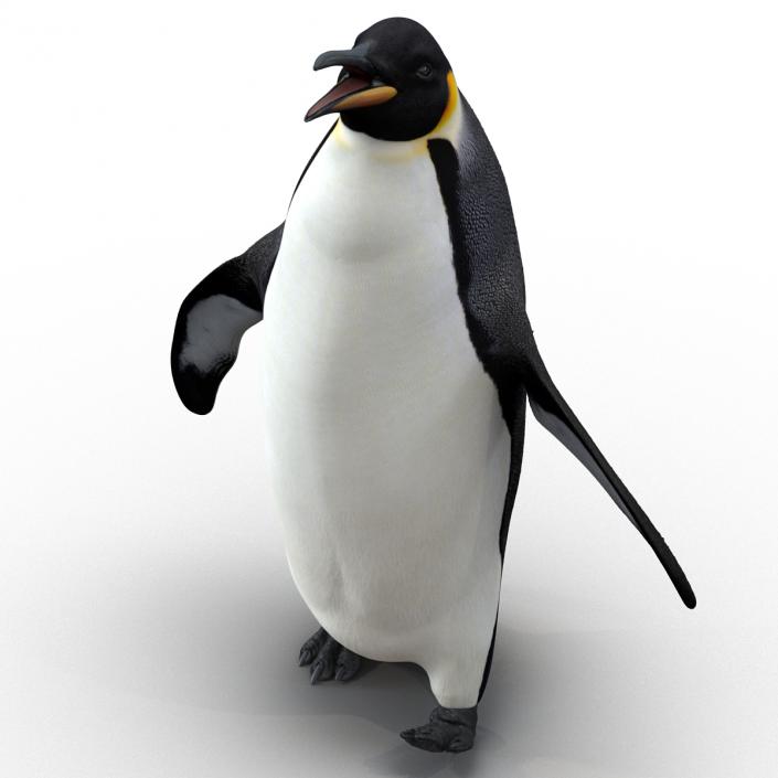 Penguin Pose 2 3D model