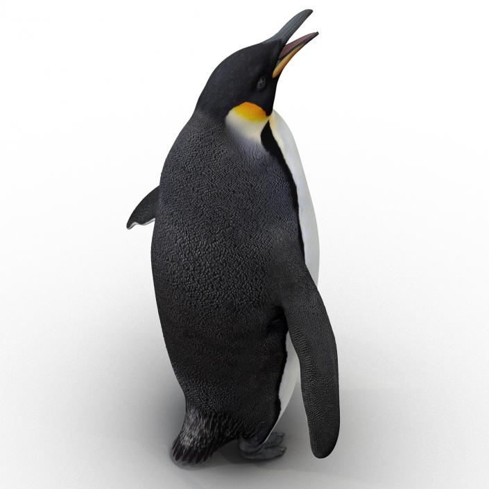 Penguin Pose 2 3D model