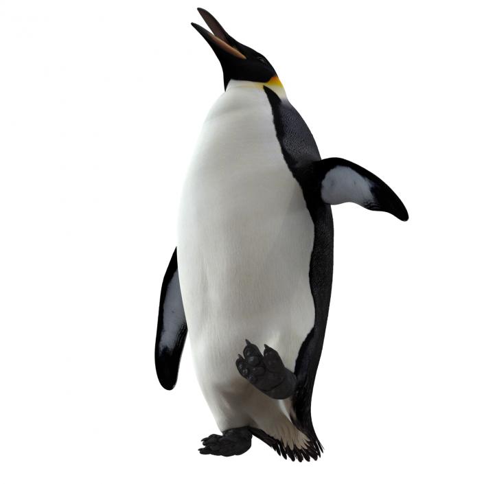 Penguin Pose 2 3D model