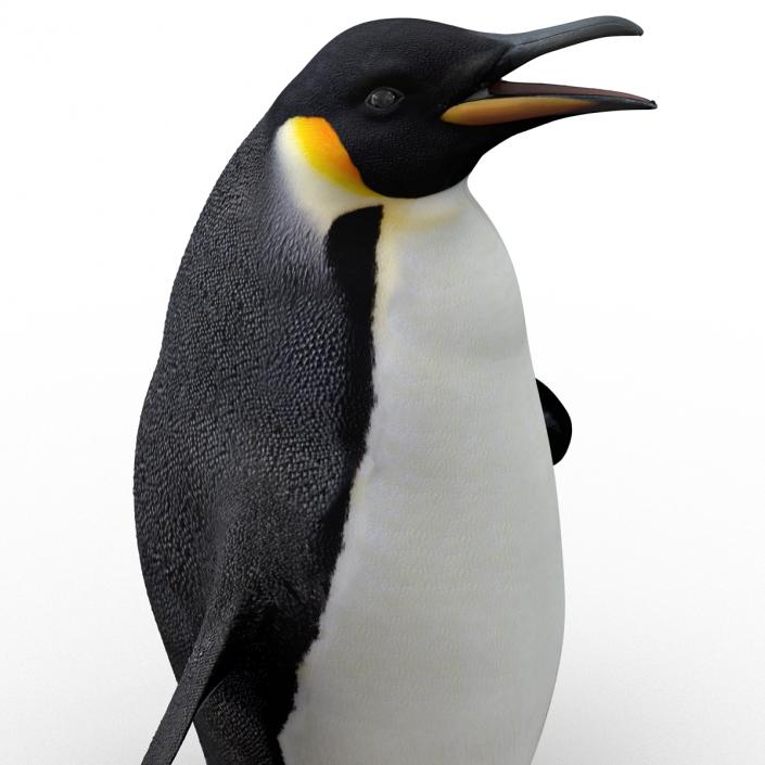 Penguin Pose 2 3D model