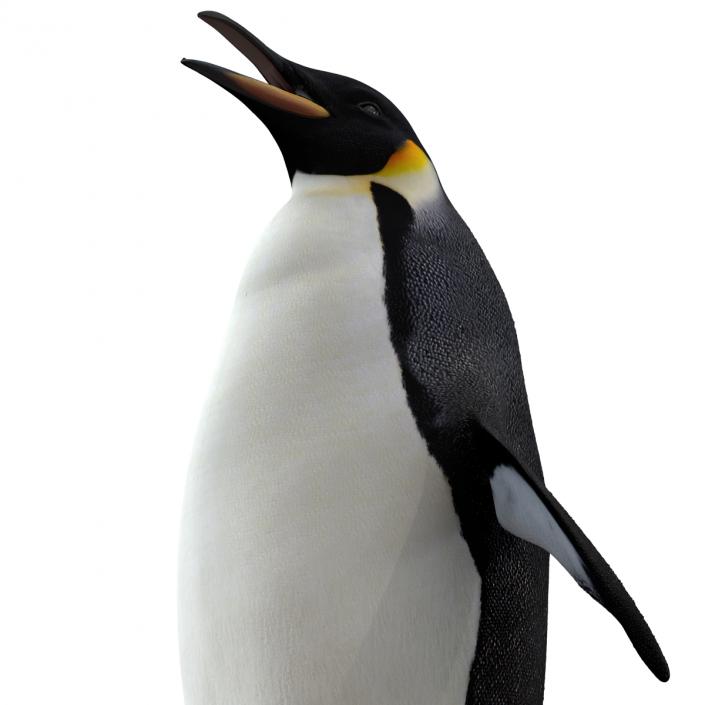 Penguin Pose 2 3D model