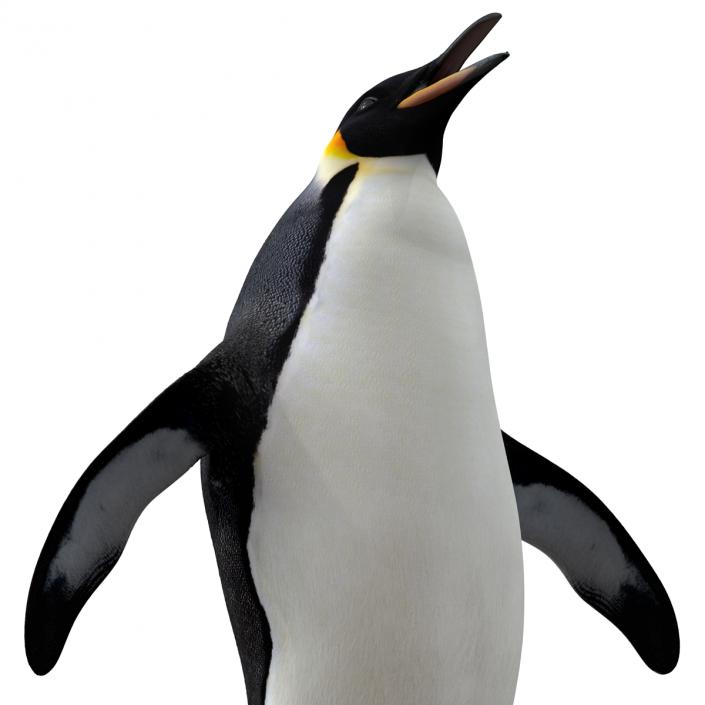 Penguin Pose 2 3D model